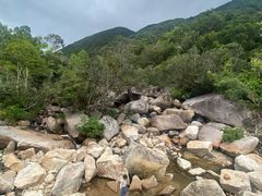 -海南热带雨林国家公园吊罗山景区