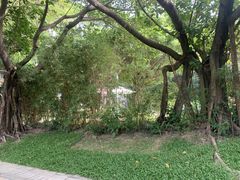 -深圳国际园林花卉博览园