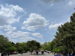 -北陵公园