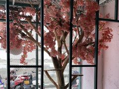 -喵屿·大理花园猫咖