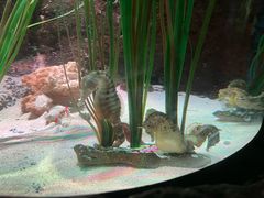 -沈阳海洋探索中心