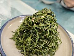 清香枸杞苗-国强手抓(西夏区店)