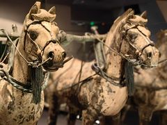 -秦始皇帝陵博物院-丽山园