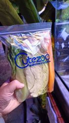 -酷嗒动物文化乐园(cutezoo西溪乐天城店)