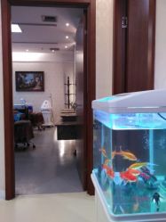 -西安伊美尔医疗美容医院