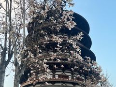 -隋唐洛阳城明堂天堂景区
