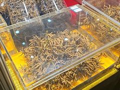 -中国农业博物馆