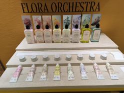 -L'OCCITANE欧舒丹