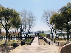 -太湖湖滨国家湿地公园-停车场