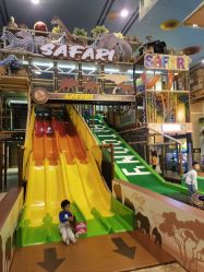 -卡通尼·Safari非洲探索乐园·生日会(金桥国际商业广场店)