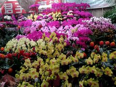 -秦美花卉(天朗·莱茵小城2期店)