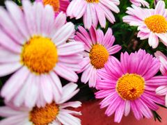 -百伦百货(简阳店)