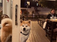 -餐酒吧Com-ing Bar(上海路店)