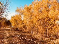 -永定河休闲森林公园