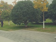 -明故宫遗址公园