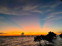 -宝安西湾红树林湿地公园