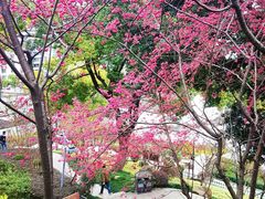 -乌山风景区
