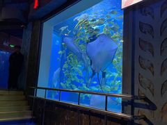 -太平洋海底世界