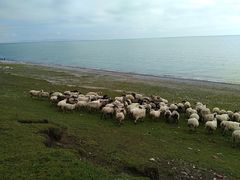 -青海湖国家重点风景名胜区