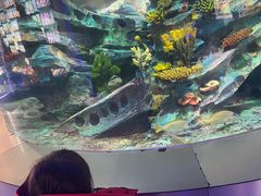 -大连圣亚海洋世界