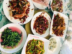 -四姑娘川味海鲜(八爪鱼店)