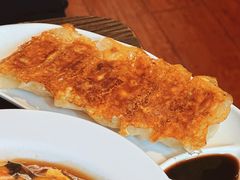 煎饺子-拉面莊夢語＆中华料理八椿