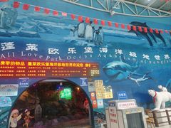 -蓬莱欧乐堡海洋极地世界