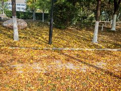 -天津妈祖文化园