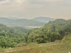 -广州市帽峰山景区