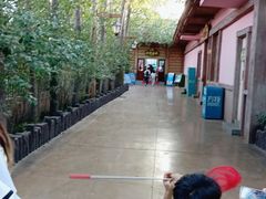 -郑州方特水上乐园