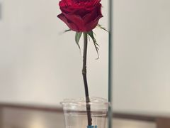 -LOTTA COFFEE(安居博文苑店)