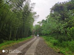 -黄公望隐居地
