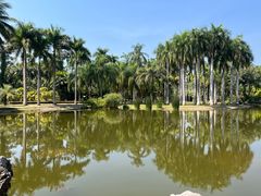 -中国科学院西双版纳热带植物园