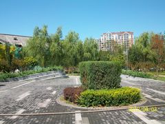 西园景色2-立水桥公园