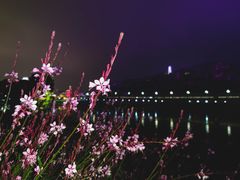 -中国宜宾·长江地标广场