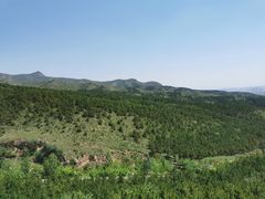 -大青山野生动物园