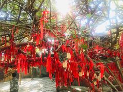 -海南槟榔谷黎苗文化旅游区