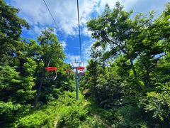 -青岛中山公园-索道售票处