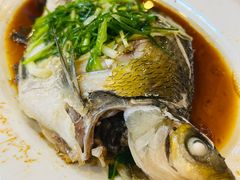 -鸿达渔港
