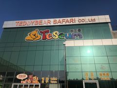 -济州岛泰迪熊博物馆