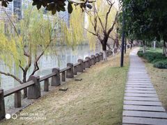 -运河游船(武林门码头)