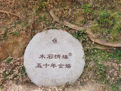 -千年银杏谷文化旅游区