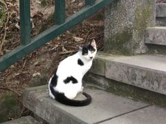 -日月潭