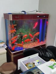 -颐健堂健康管理中心(宝龙店)