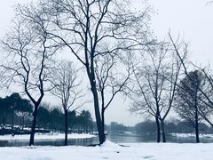 -尚贤河湿地
