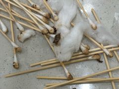 -佩兹宠物医院肿瘤专科·眼科·牙科(黄浦店)