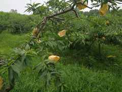 -汤山翠谷生态餐厅