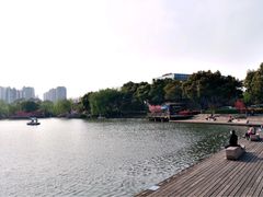 -圩墩遗址公园