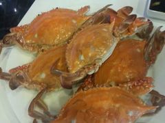-银鲨国际美食百汇(金牛万达广场店)