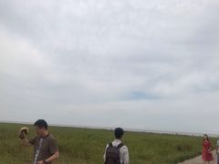 -南汇嘴观海公园
